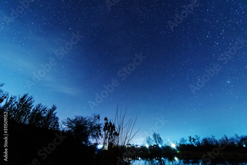 A magical starry night on the river bank with a large tree and a milky way in the sky and falling stars in the summer. 