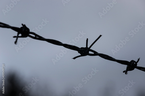 Barbed Wire fall background