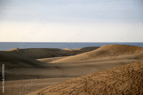 Duenen_Maspalomas