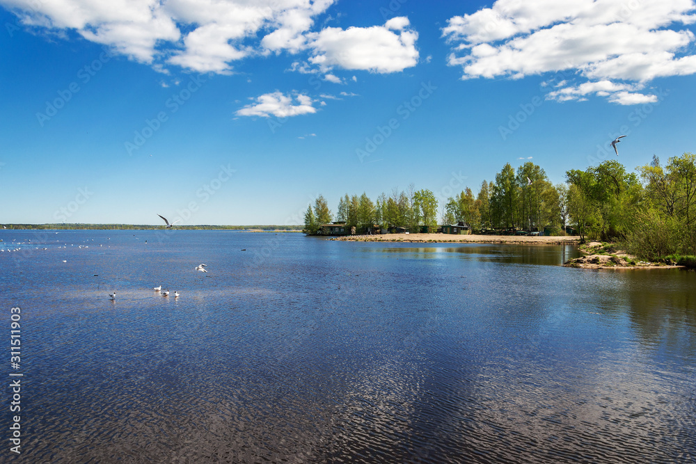 landscape on the lake in summer on a clear cloudy day