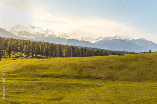 Lush green meadows of Yusmarg, Kashmir photographed late afternoon well before sunset