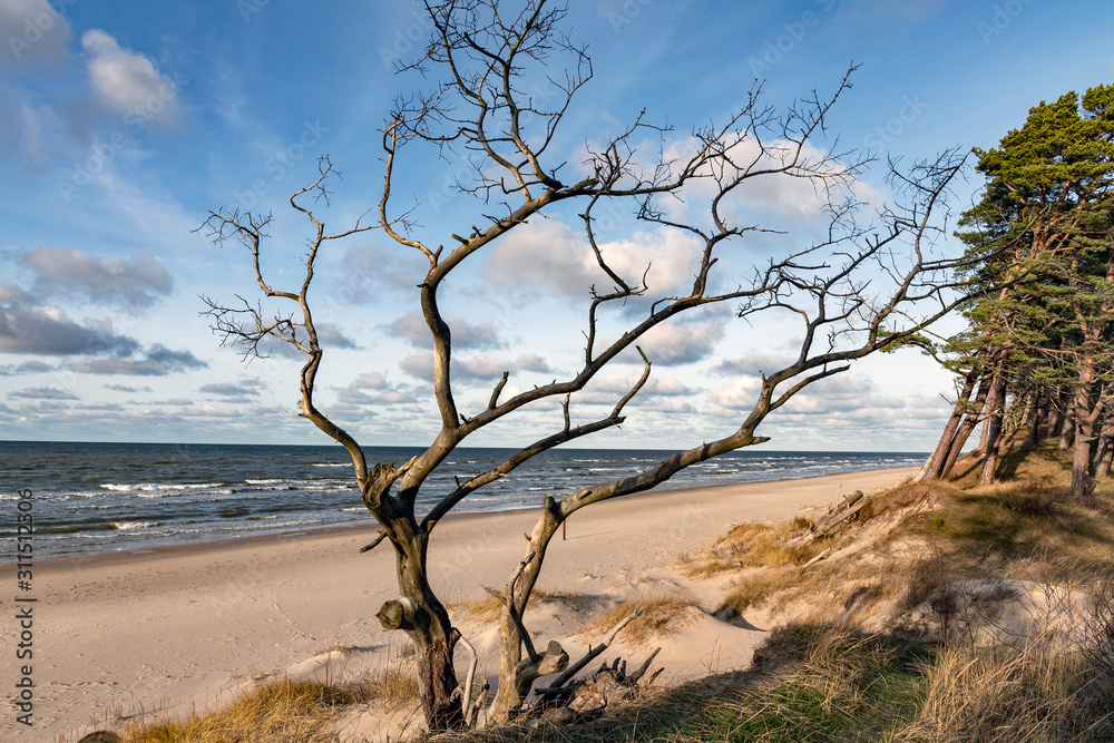 Baltic sea coast in warm winter day next to Bernati, Latvia.
