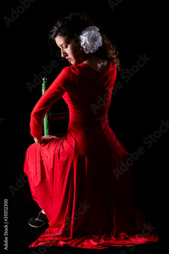 Young flamenco dancer  in a dance position