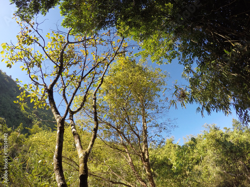 view landscape nature at the mountain