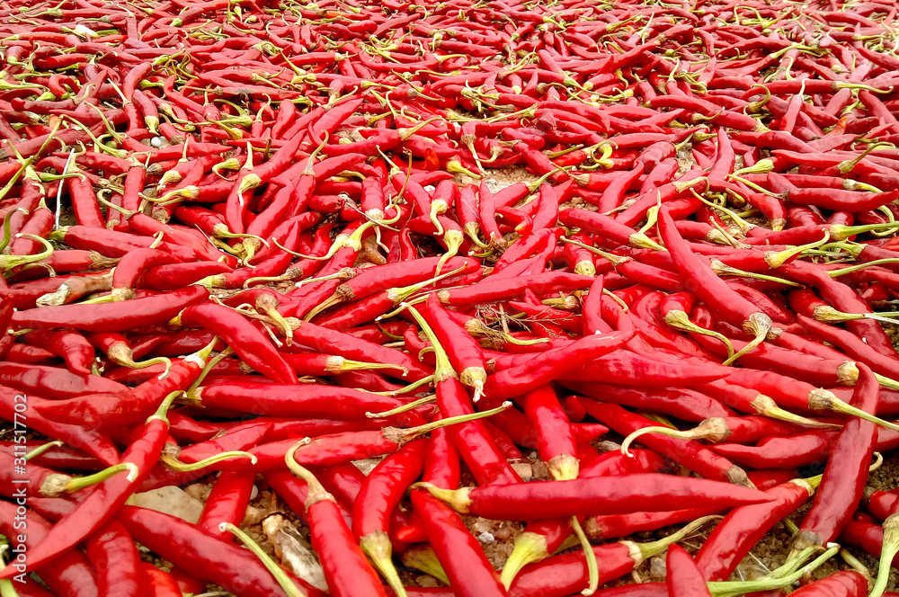 hot red fruit chili peppers whole dry hot red fruit chili peppers whole dry