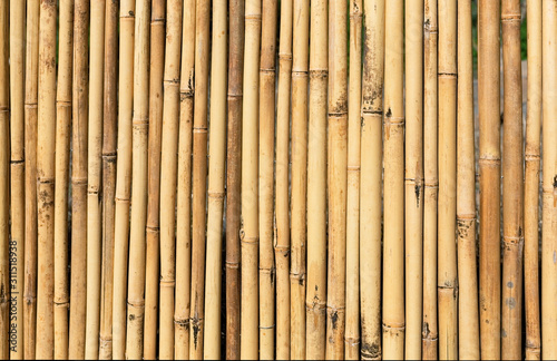 bamboo fence closeup  background