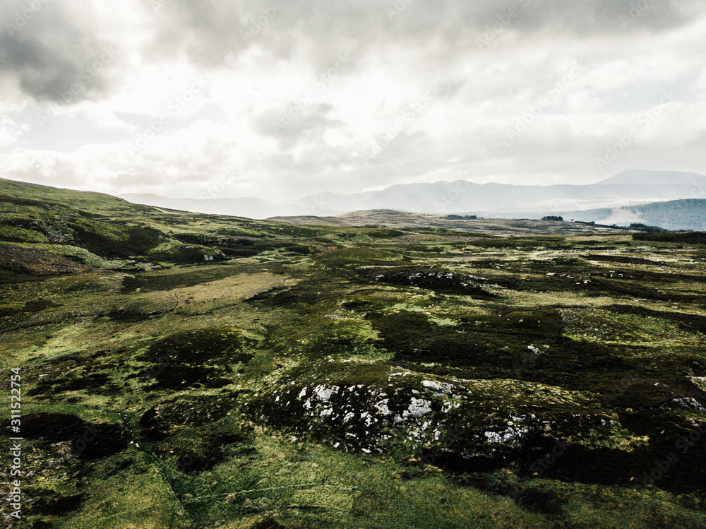 Traumhafte Natur und Landschaft in Schottland mit saftig grünen Wiesen grünem Wald - Wanderlust 