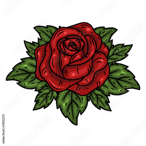 Fototapeta Naklejka Na Ścianę i Meble -  Red rose. Vector illustration isolated on white background.