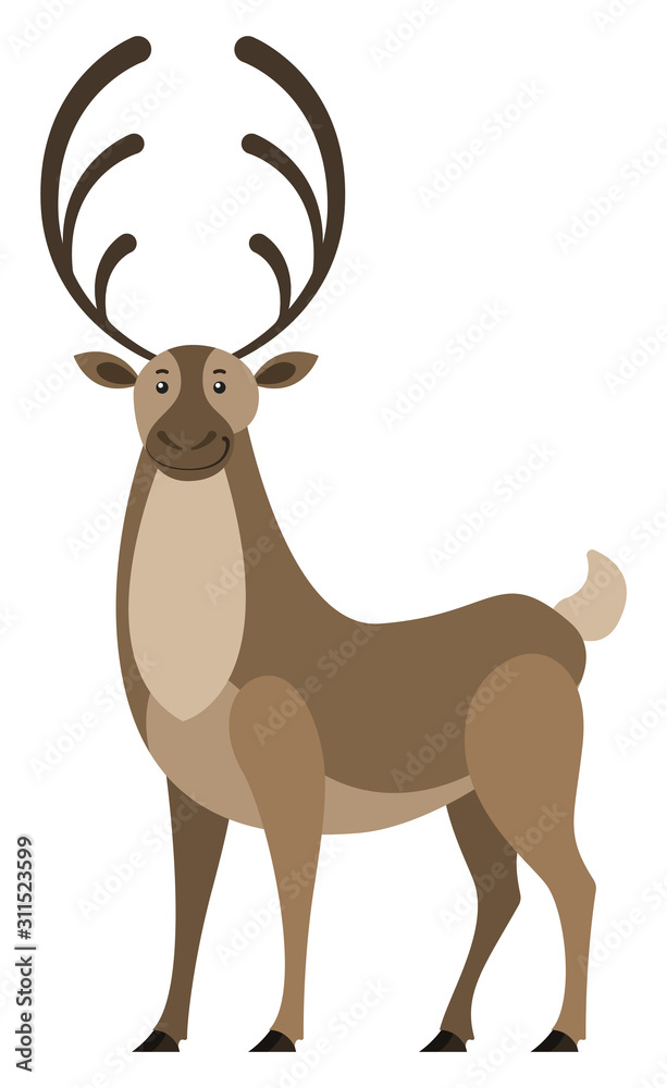 Deer with big horns, isolated wild animal. Doe with furry coat living in  forest. Stag standing