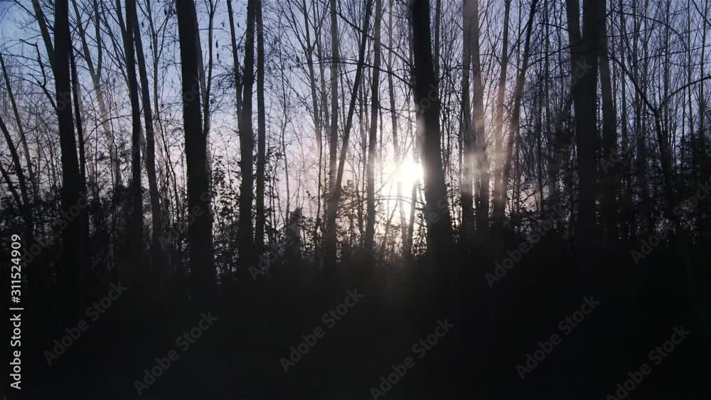 The Sun as Seen from a Boat in a Misty River in the Morning. Filmed in Tigre, Argentina. The Sun as Seen from a Boat in a Misty River in the Morning. Filmed in Tigre, Argentina.