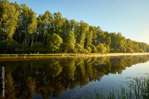 fog over water on a background of a tree with green leaves and a blue sky without clouds at dawn.