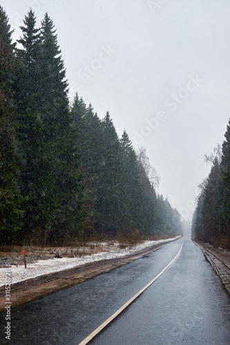 overcast road in the afternoon with spruce trees on the sides and snow on the sidelines.