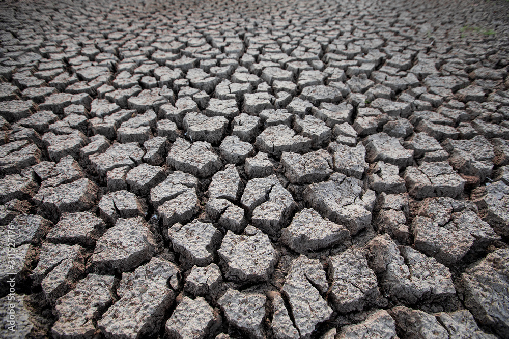 Close up cracked ground in dry season. The is soil that lacked of water,Background of dry cracked soil dirt Close up cracked ground in dry season. The is soil that lacked of water,Background of dry cracked soil dirt