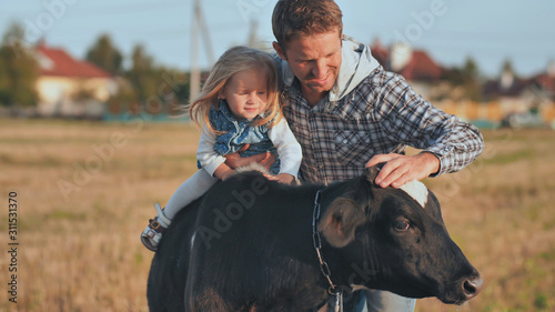 Father planted a one-year-old daughter on a cow and poses.