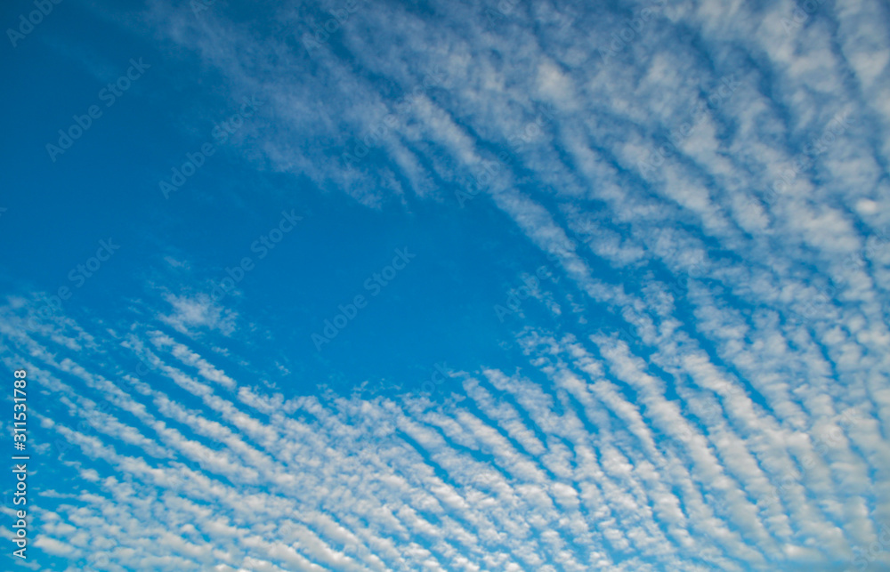 Obraz premium abstract blue background.