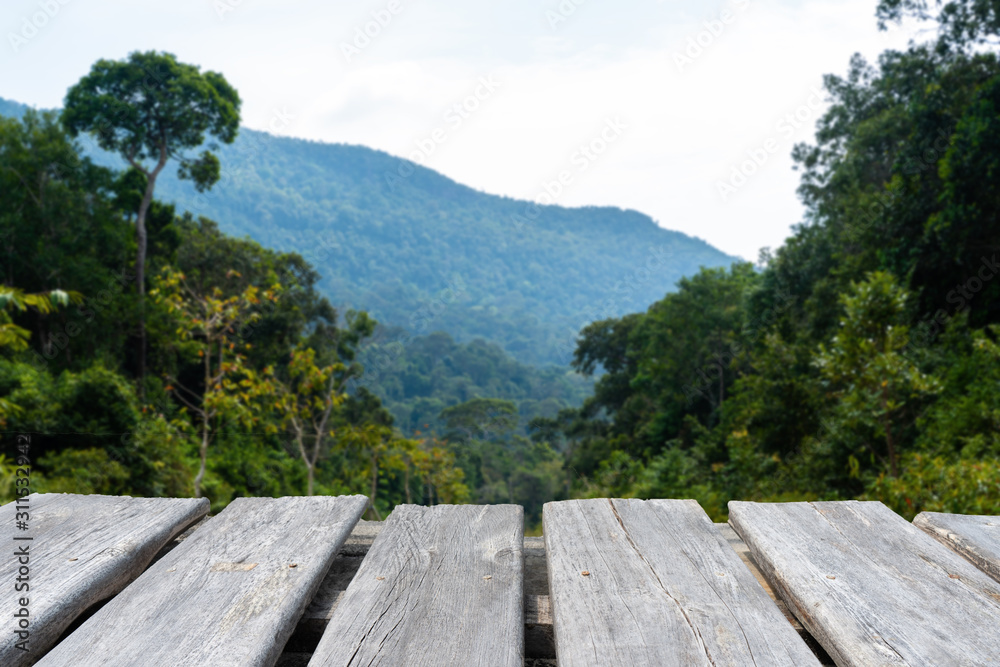 table in jungle