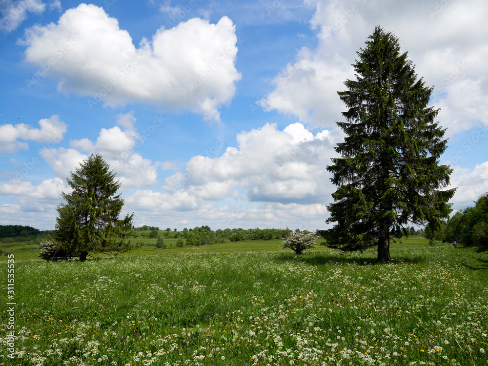 NSG „Schwarzes Moor