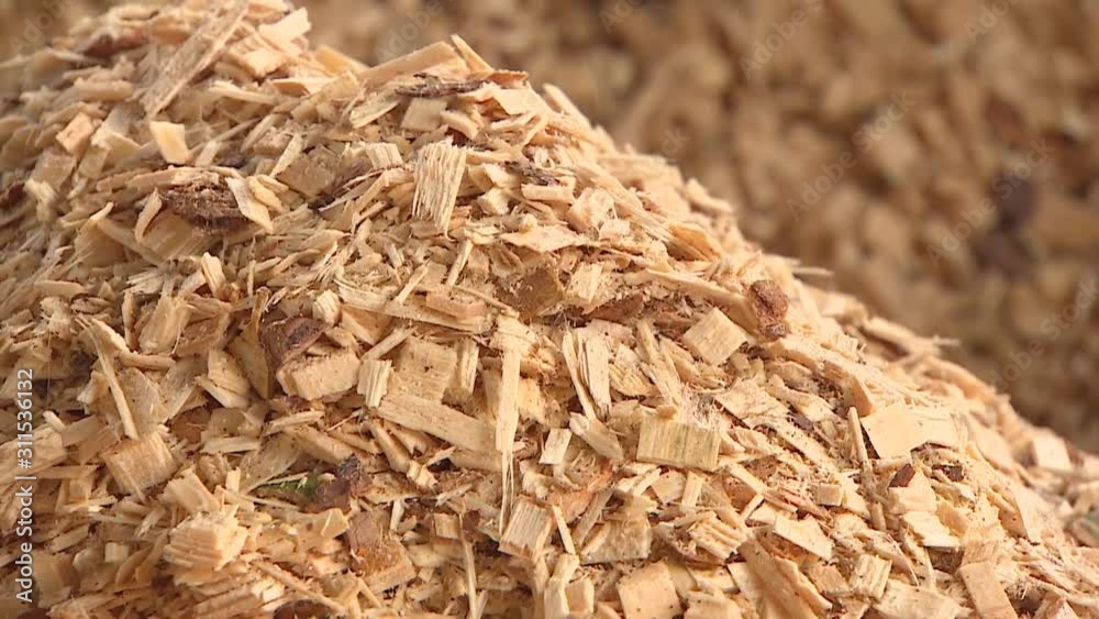 Production of wood shavings at a woodworking factory. Sawmill processes trees into shavings.