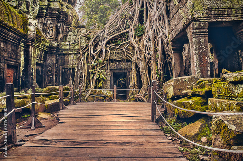 ta prohm temple in angkor wat complex with big roots and moss in angkor wat