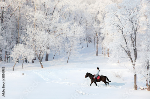 Equestrian sportive girl riding her horse in fresh snow forest