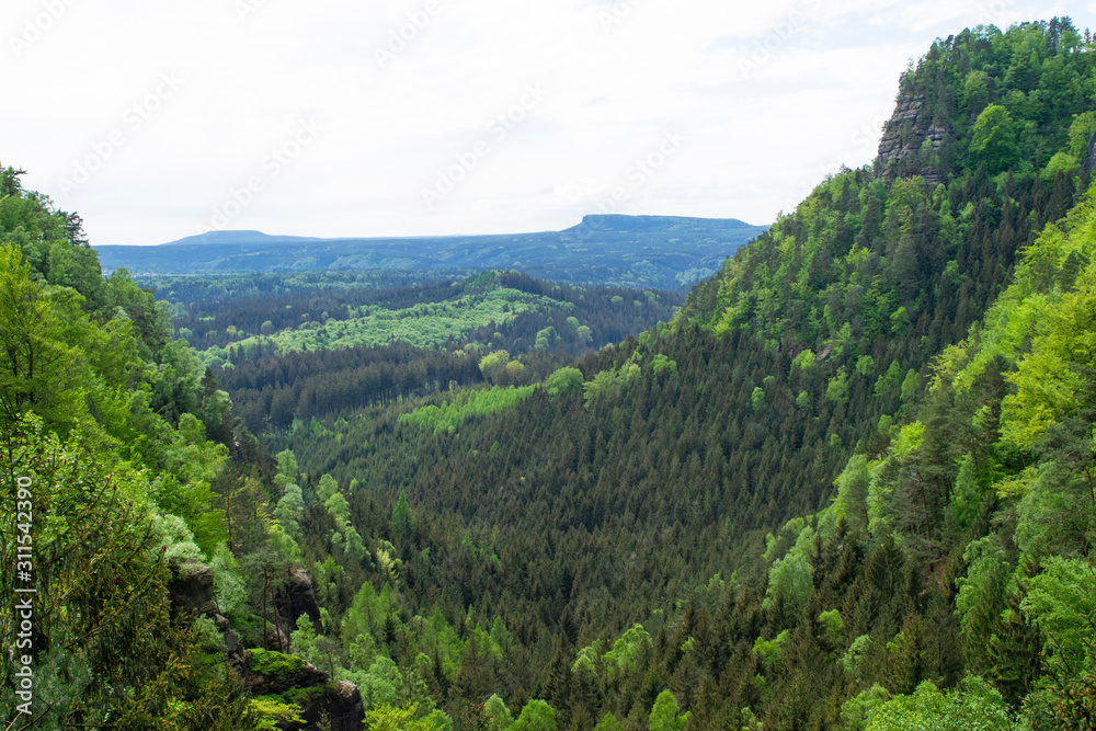Forest landscape of Bohemian Switzerland National Park, Czech Republic