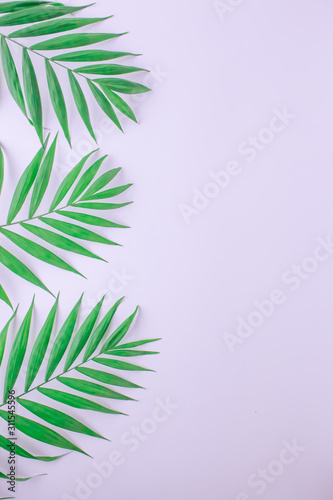 Branches  palm leaves on a white background. Top view with copy space. Vertical photo