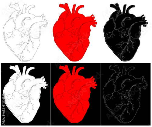 Anatomical drawing of the heart. Background for brochures, booklets, flyers, tattoo parlors. Set of red, white and black hand-drawn hearts. Vector illustration.