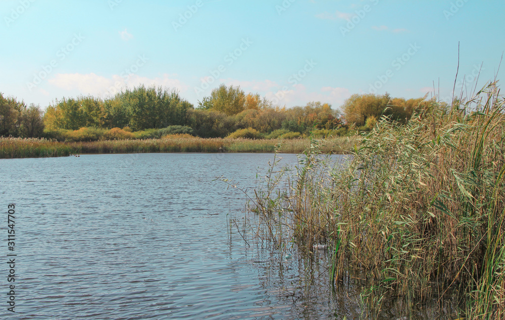 Autumn landscape. Lake in Europe.