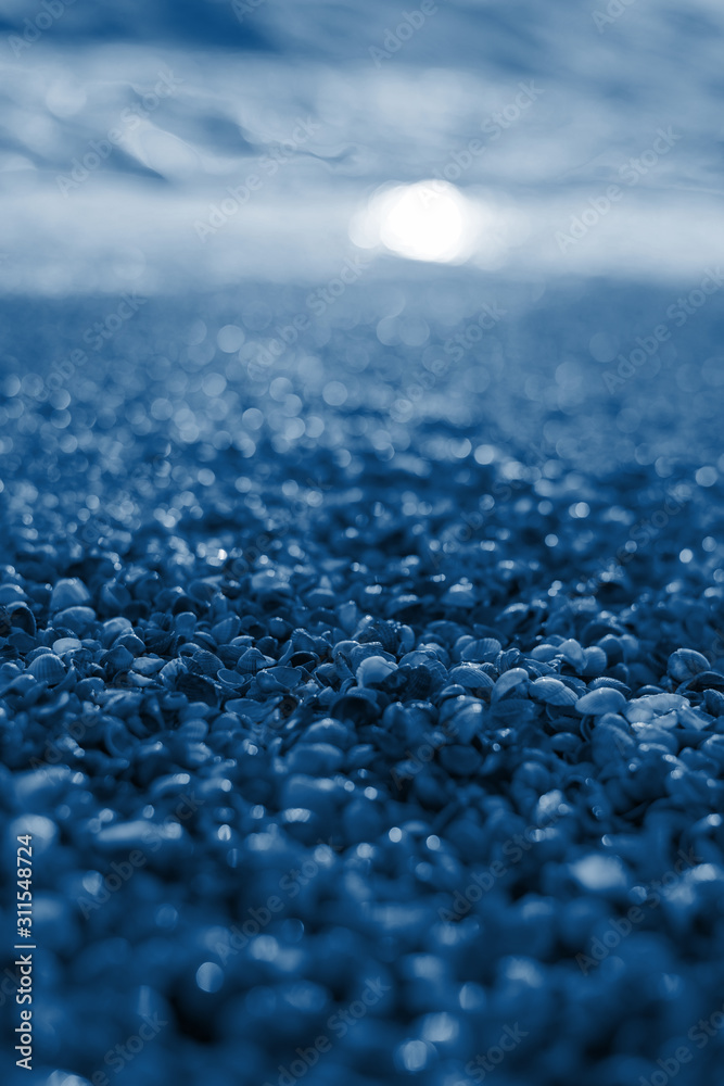 seashells on the beach. sea coast. close-up of shells. sunset photo. into the waves. Classic blue color the year 2020 seashells on the beach. sea coast. close-up of shells. sunset photo. into the waves. Classic blue color the year 2020