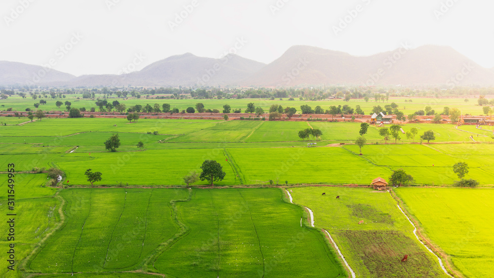 Naklejka premium Landscape of green fields and mountains at tiger Cave temple (Wat Thum Sua) the temple is beautiful and popular tourist, Kanchanaburi, Thailand 