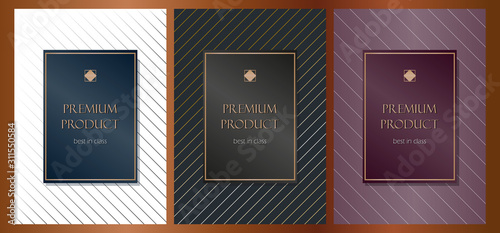 Set, collection of luxury labels, frames, flyers for premium products, packaging, perfume, soap. Premium design. Geometric background. Silver gradient elements. Vector illustration. A4 format.