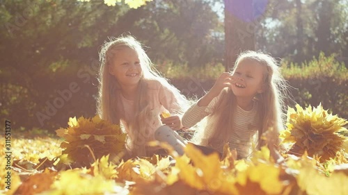 Cheerful twin sisters laughing and collecting yellow leaves while sitting on ground and having fun in autumn park