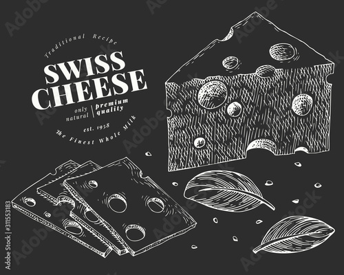 Swiss cheese illustration. Hand drawn vector dairy illustration on chalk board. Engraved style maasdam slice cut. Vintage food illustration.