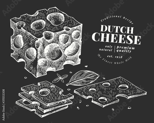 Dutch cheese illustration. Hand drawn vector dairy illustration on chalk board. Engraved style maasdam slice cut. Vintage food illustration.