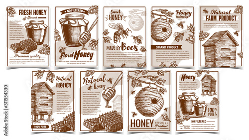 Bee Insect, Wild And Wooden Beehive Posters Vector. Bee Insects, Dipper Stick, Glass Bottle With Honey And Honeycombs. Beekeeping And Sweet Organic Product Layout Designed Monochrome Illustrations