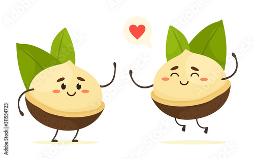 Cute cartoon macadamia nuts with leaves. Vector nuts isolate in cartoon flat style. White background.
