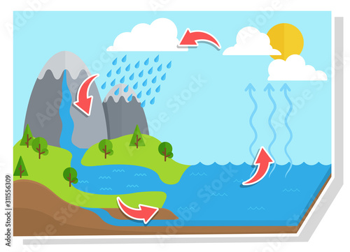 Water cycle diagram.Vector shows the water cycle from water droplets to raindrops.