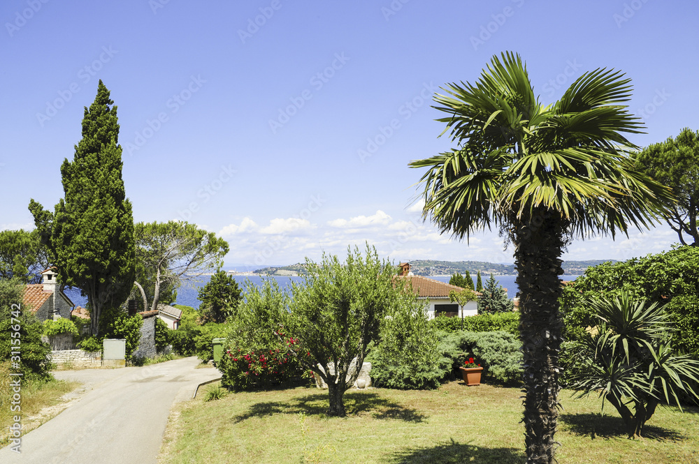 Fototapeta premium Istrien, Kroatien, Katoro, Umag