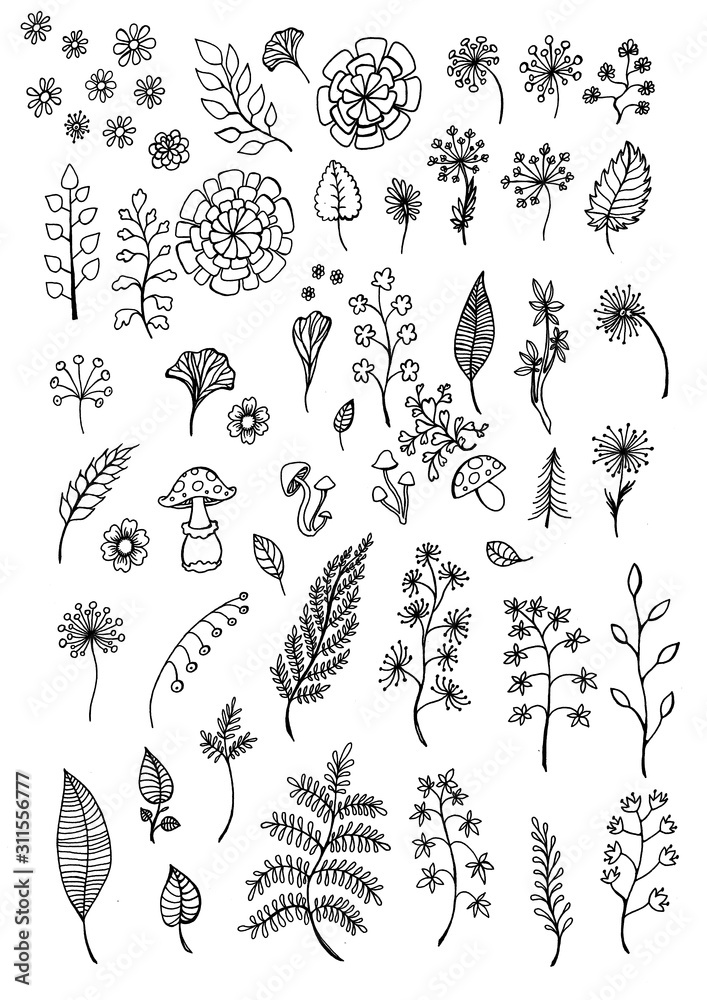 set collection with flowers and leaves set collection with flowers and leaves
