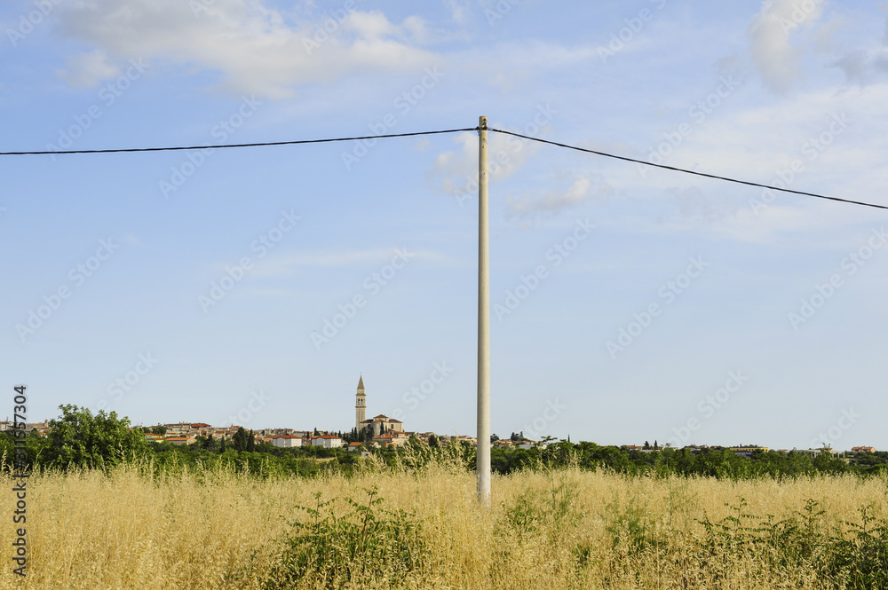 Fototapeta premium Istrien, Kroatien, Vodnjan