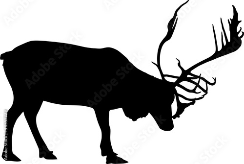 single reindeer outline isolated on white
