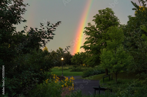 Arc-en-ciel entre les arbres dans un parc