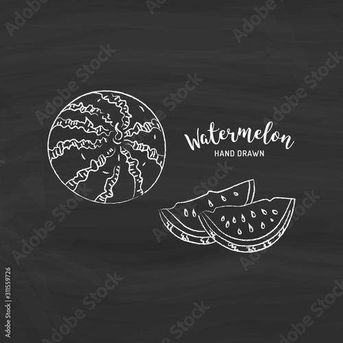 Persimmon fruit graphic drawing. Sketch of watermelon with chalk on blackboard. Vector isolated illustration