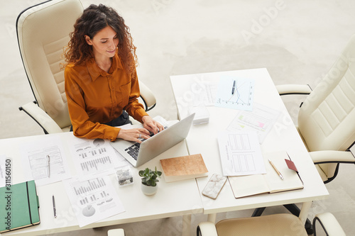 Elegant woman with long curly hair texting something on laptop horizontal high angle shot photo