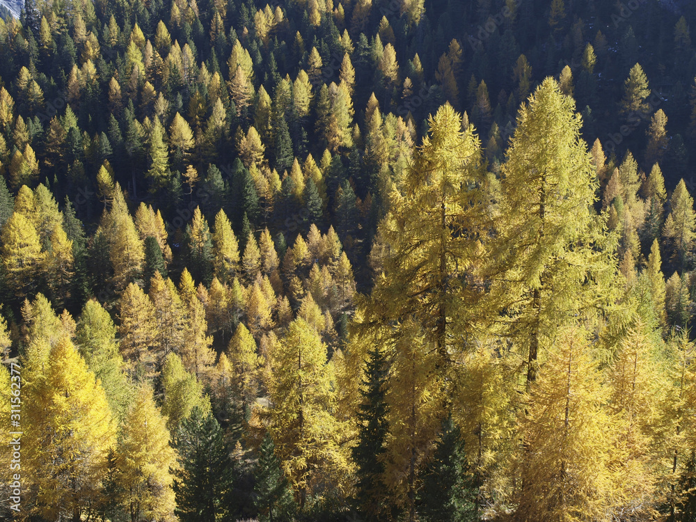 Stilfser Joch, Südtirol, Italien Stilfser Joch, Südtirol, Italien