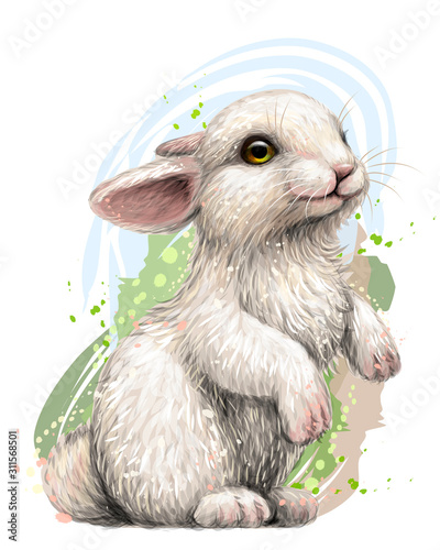 Rabbit. Color, artistic, graphic image of a rabbit on a white background in watercolor style.