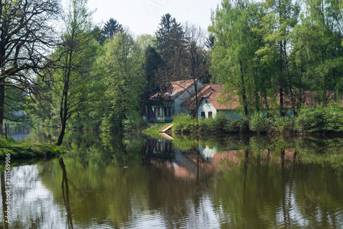 Trees lining the Malse river in Ceske Budejovice, Czech Republic © David Johnston