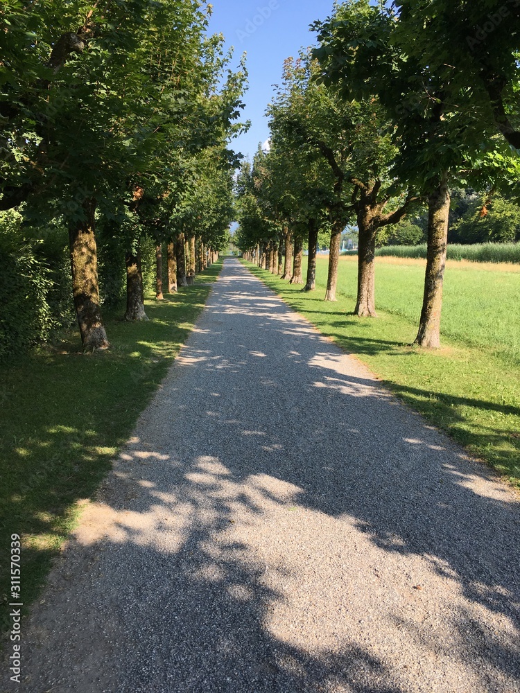 Obraz premium Weg zum Glück