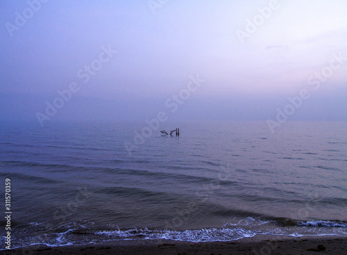 Delphinskulptur im Meer, Italien, Friaul, Julisch Venetien, Grad