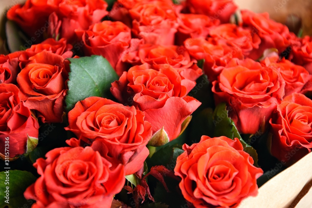 Big beautiful bouquet of red roses in craft paper with selective focus. Amazing lush lava roses for st Valentine’s Day or Mother’s Day. Greeting concept. Red roses background. Tender flowers Big beautiful bouquet of red roses in craft paper with selective focus. Amazing lush lava roses for st Valentine’s Day or Mother’s Day. Greeting concept. Red roses background. Tender flowers